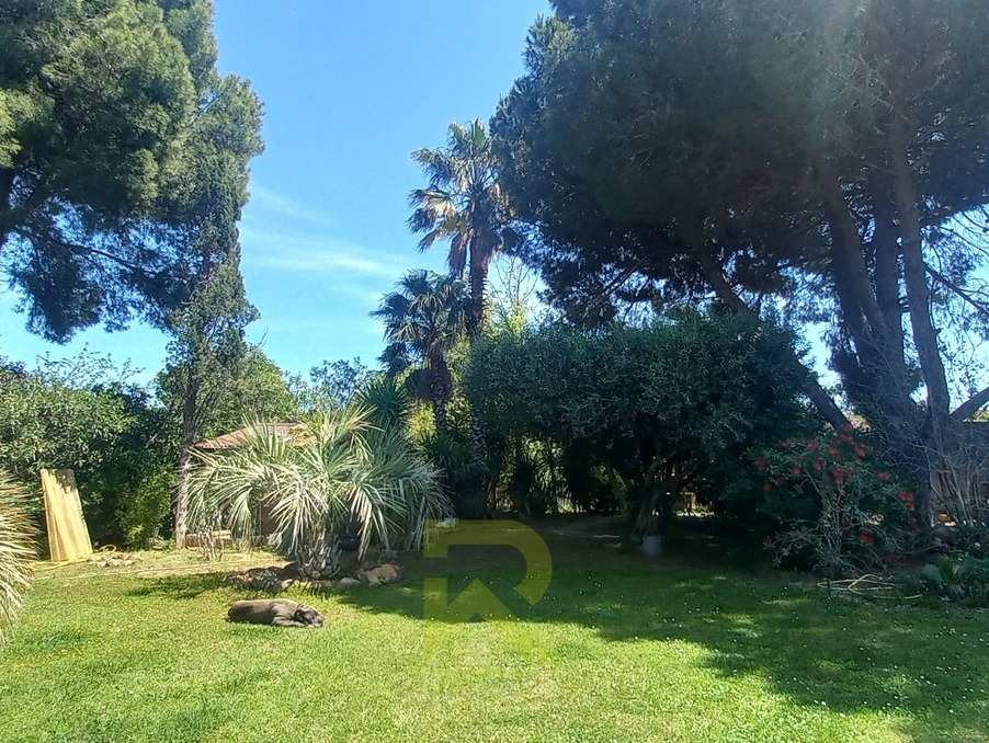 Vente Terrain CERS  255 000 €