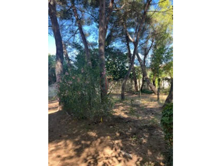 Vente Maison Montpellier  800 000 €