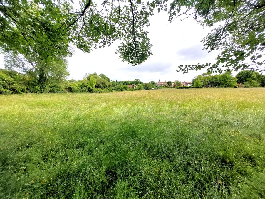 Vente Terrain SAINT MARTORY 49 000 €