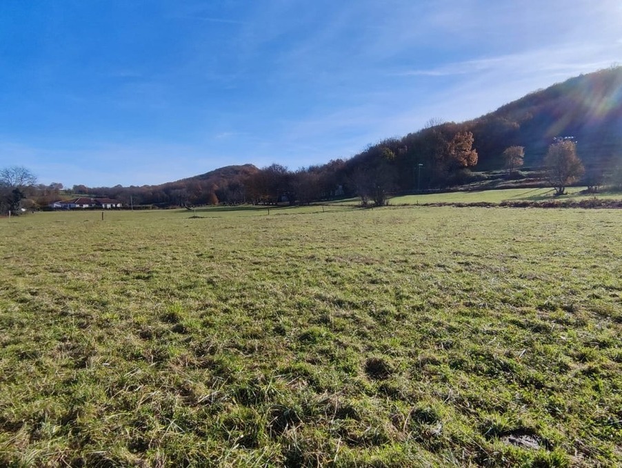 Vente Terrain MONTJOIE EN COUSERANS 45 000 €