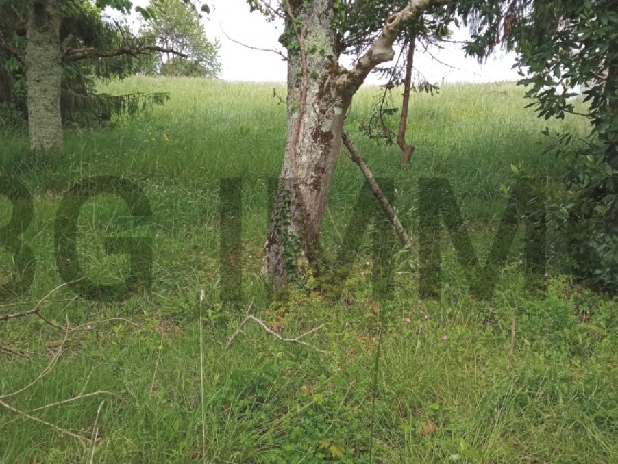 Vente Terrain MONTLIEU LA GARDE 26 500 €