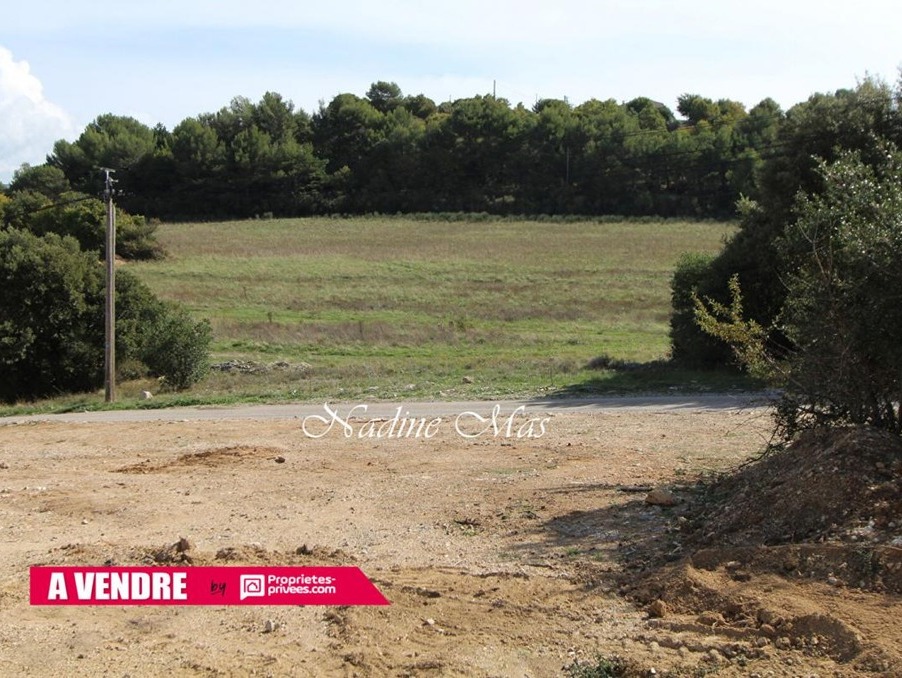 Vente Terrain Plan-d'Aups-Sainte-Baume  189 000 €
