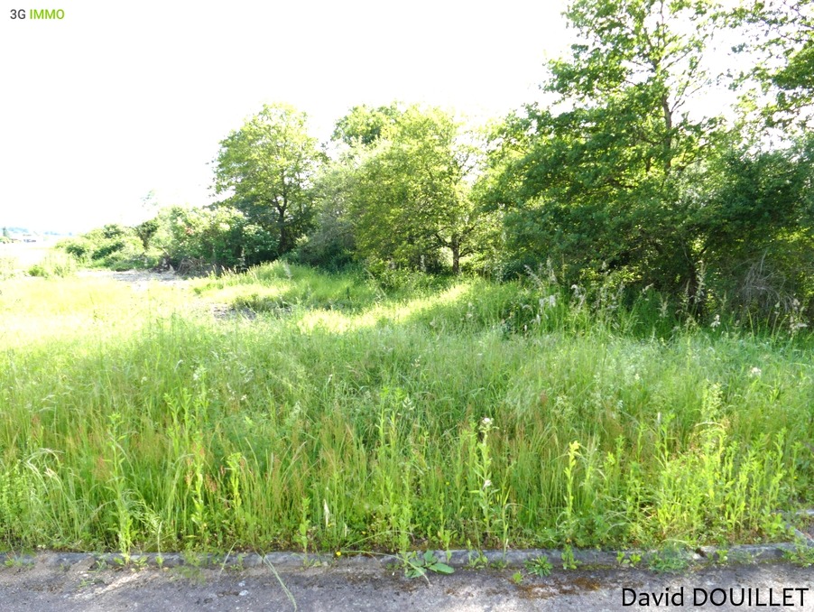 Vente Terrain DOGNEVILLE 65 000 €