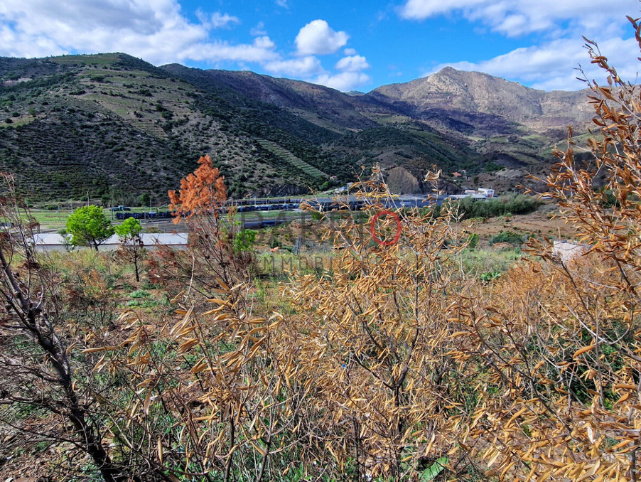 Vente Terrain Cerbere 86 000 €