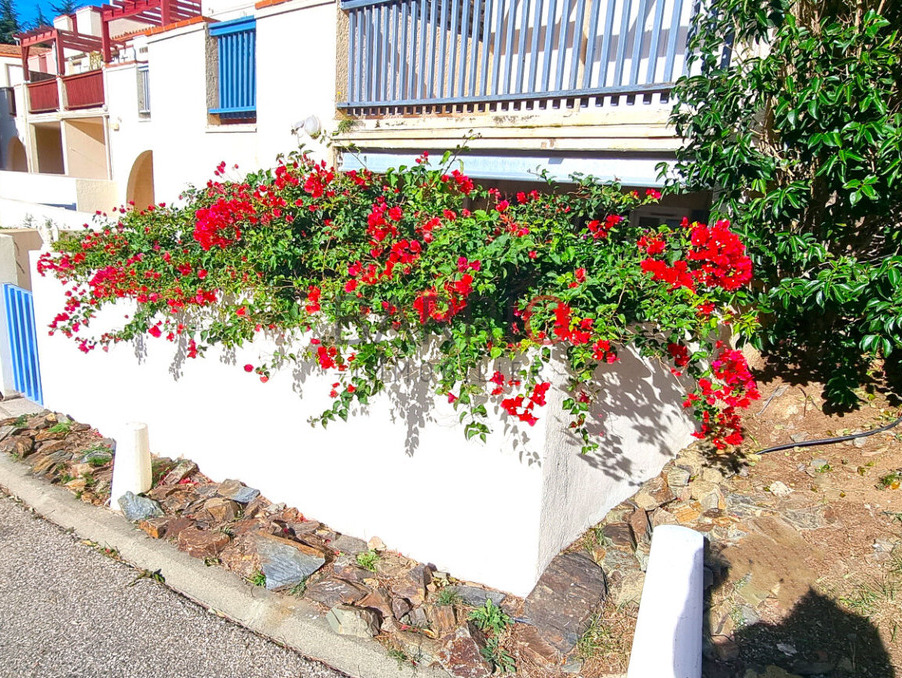 Vente Appartement Cerbere  128 000 €