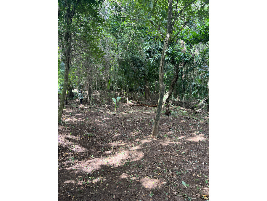 Vente Terrain Saint-Joseph  109 000 €