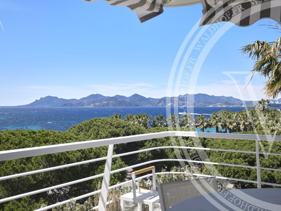 Location Appartement Cannes 10 200 €