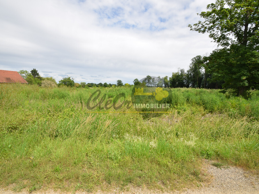 Vente Terrain BRAZEY EN PLAINE 65 000 €
