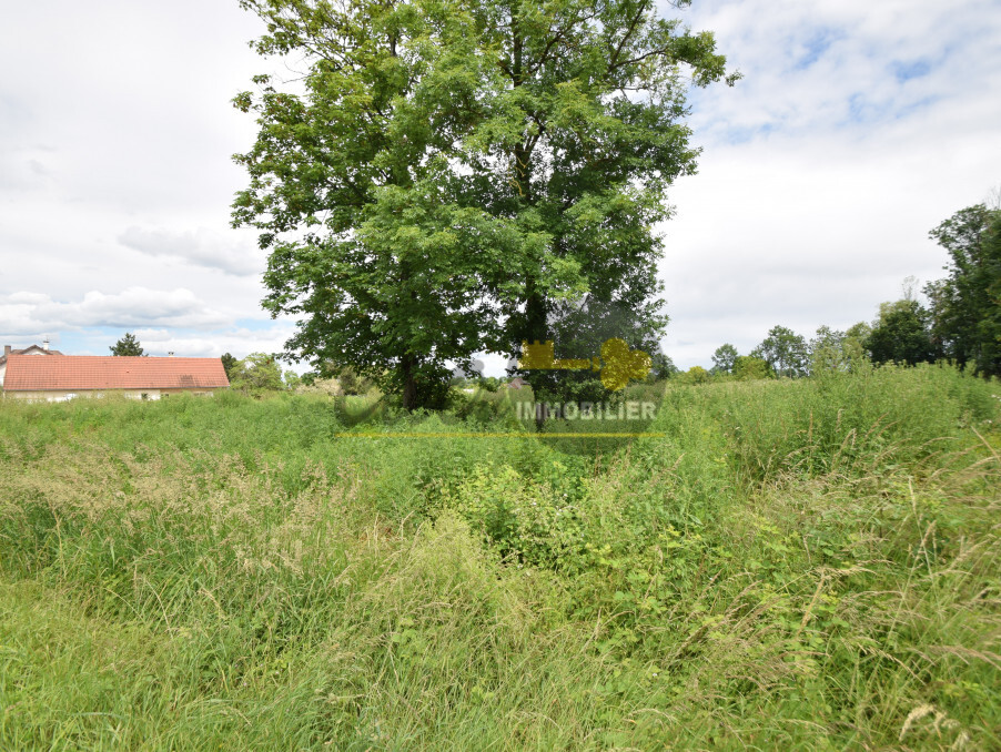 Vente Terrain BRAZEY EN PLAINE 60 000 €