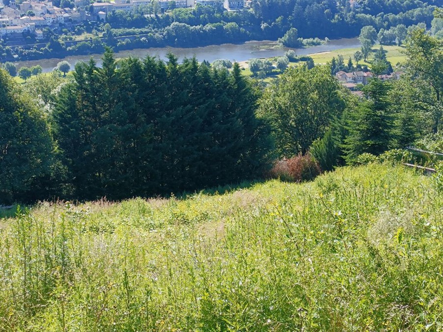 Vente Terrain Aurec-sur-Loire  117 000 €