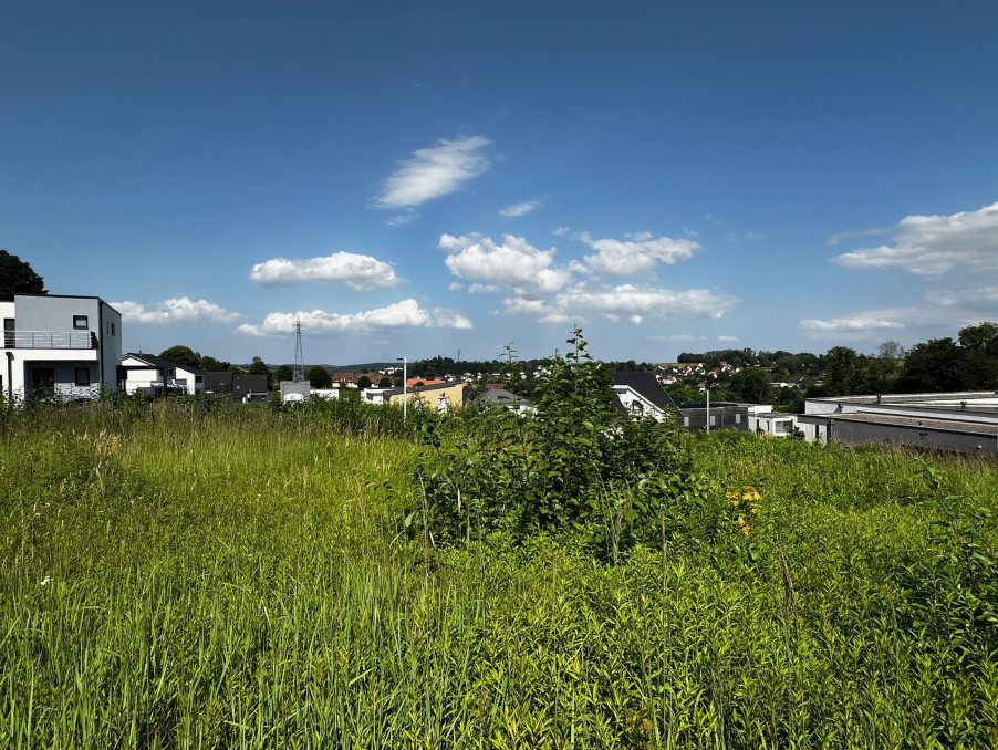 Vente Terrain ALTKIRCH  157 500 €