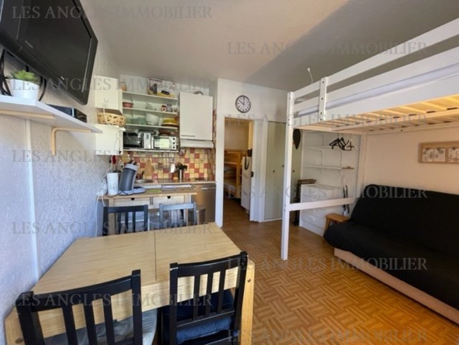 Location Appartement LES ANGLES  371 €