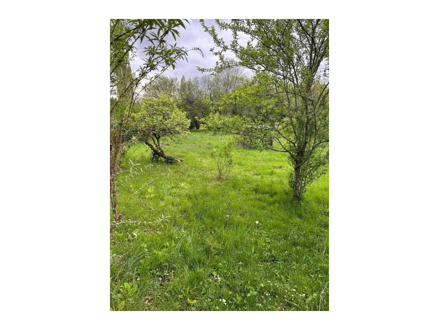 Vente Terrain PANAZOL 95 900 €