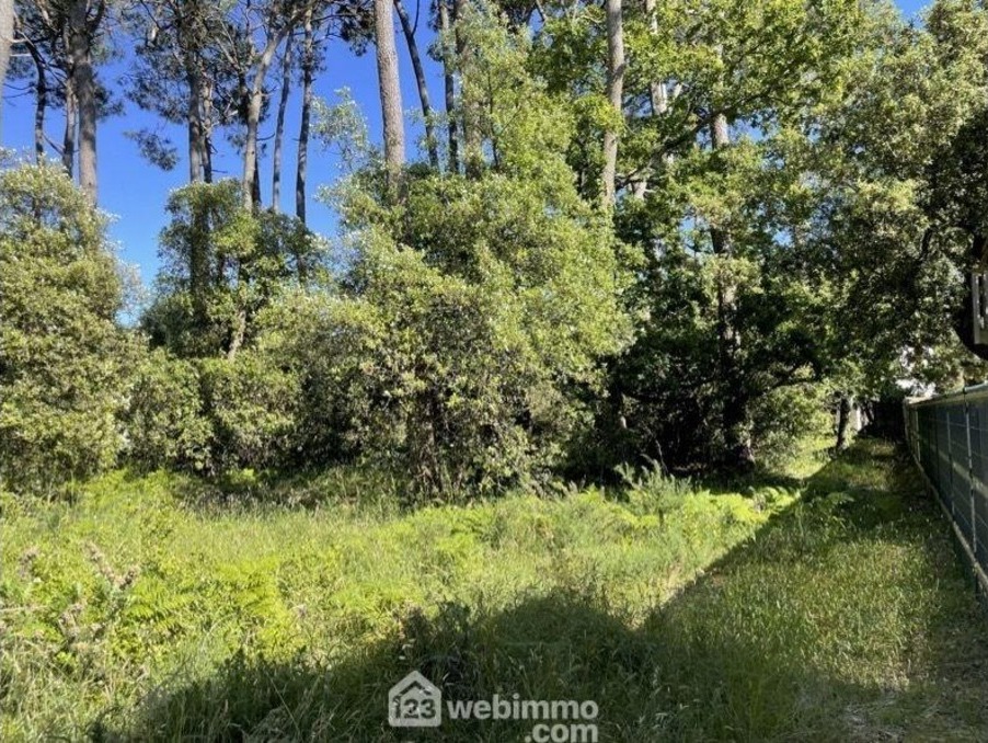 Vente Terrain Jard-sur-Mer  314 900 €