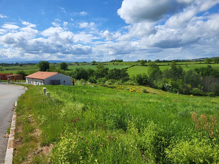 Vente Terrain Saint-Marcel-de-Félines 42 700 €