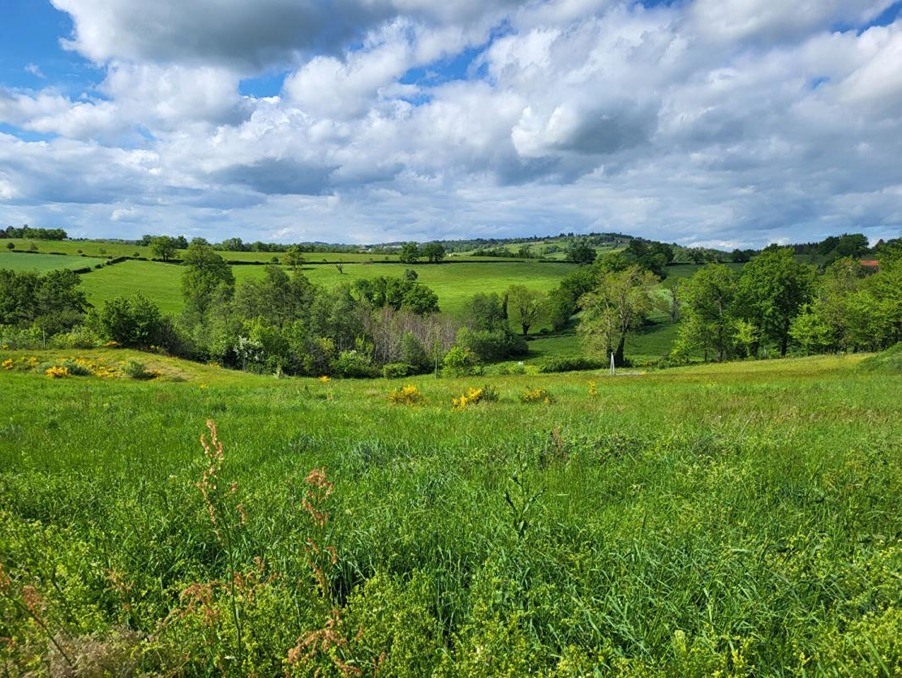 Vente Terrain Saint-Marcel-de-Félines 40 000 €