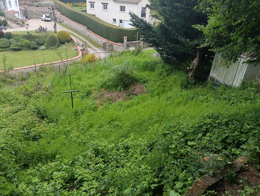 Vente Terrain Saint-Didier-en-Velay 27 000 €