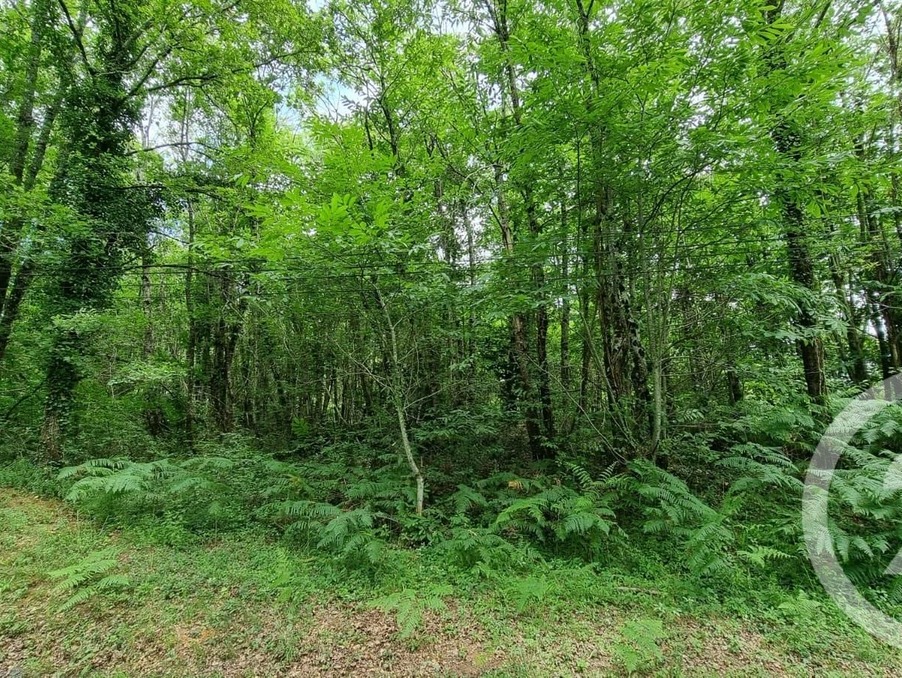 Vente Terrain Milhac 29 000 €