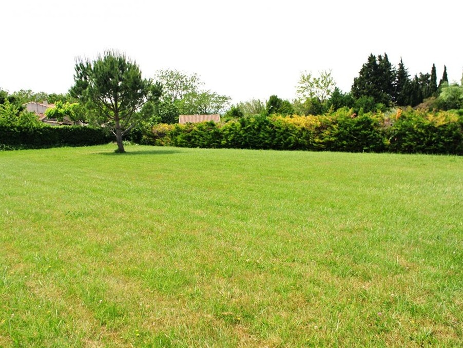 Vente Terrain Mandelieu-la-Napoule  590 000 €