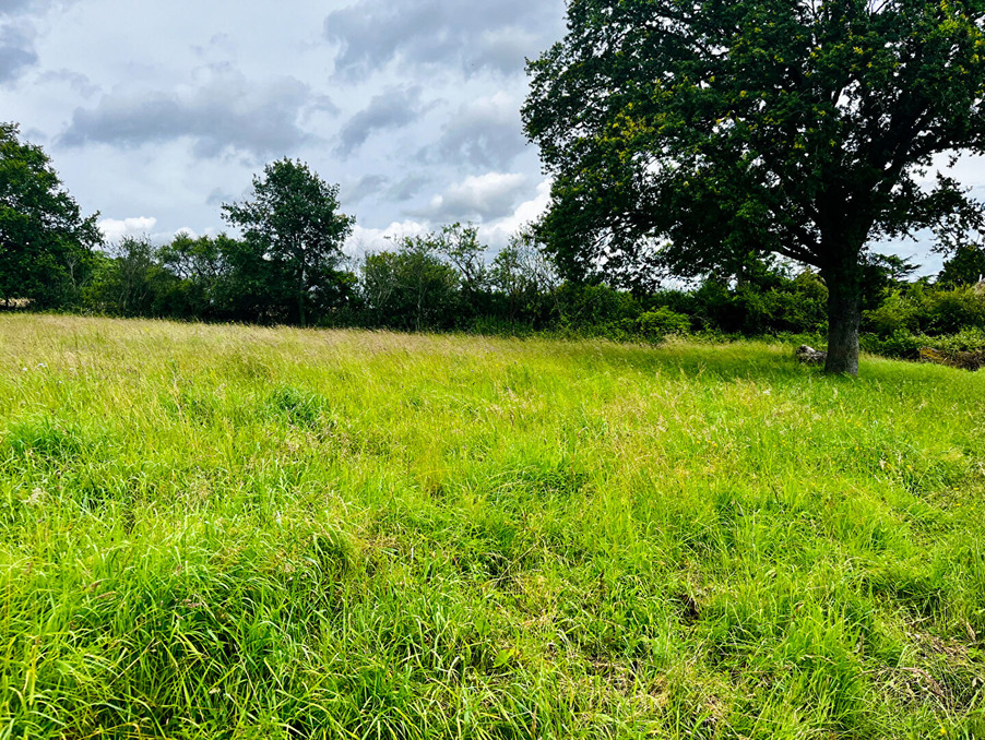 Vente Terrain Charbuy 56 000 €