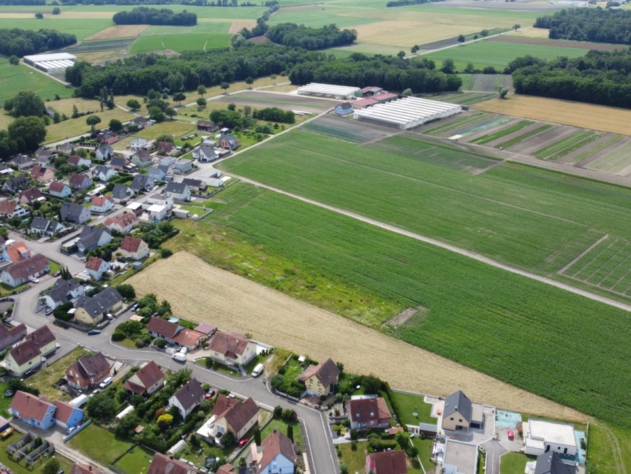 Vente Terrain BINDERNHEIM 86 870 €