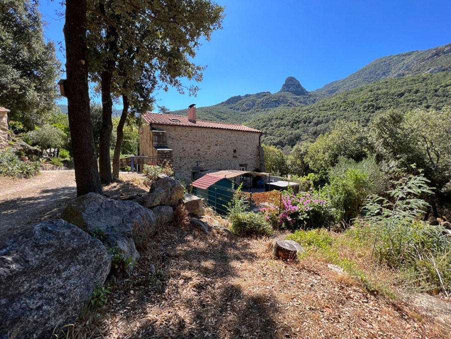Vente Maison Sorède  673 400 €
