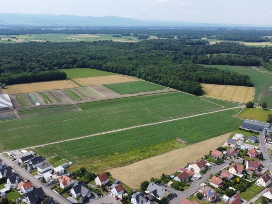 Vente Terrain BINDERNHEIM  103 020 €