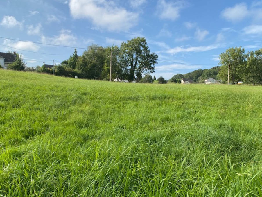 Vente Terrain Arcizac-Adour 40 000 €