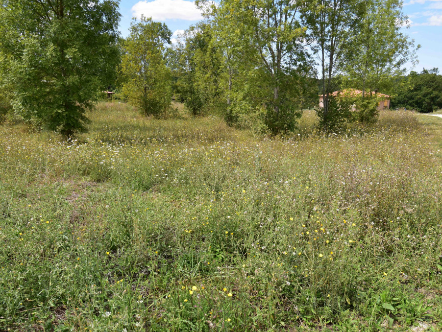 Vente Terrain FAURILLES 21 500 €
