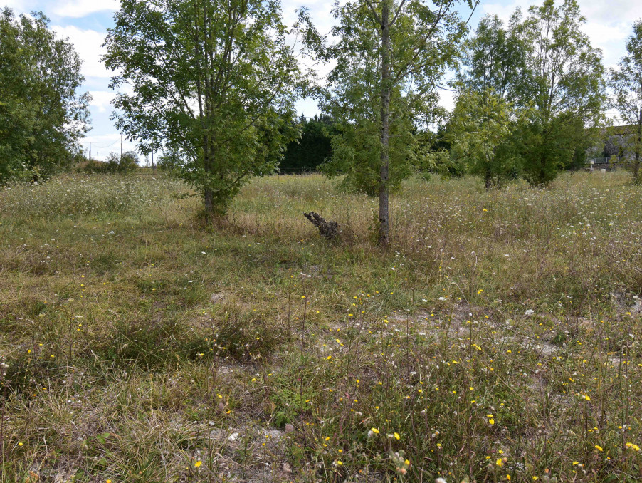 Vente Terrain FAURILLES 21 500 €