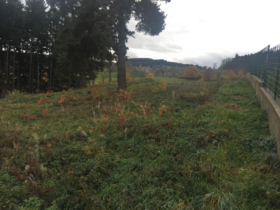 Vente Terrain Dunières 39 900 €