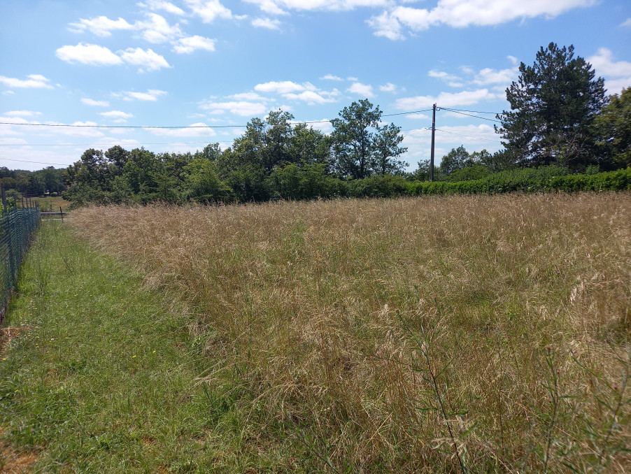 Vente Terrain CASTILLONNES 17 016 €