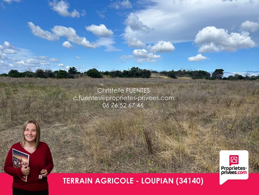 Vente Terrain Loupian 35 000 €