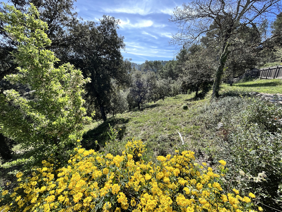 Vente Terrain Vidauban  147 000 €