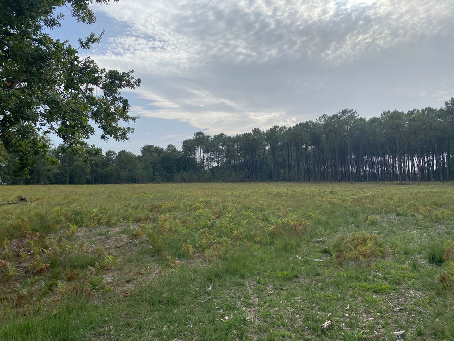Vente Terrain Tosse  190 000 €