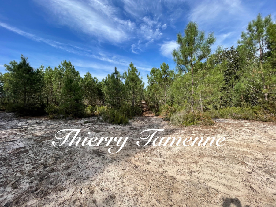 Vente Terrain BARBASTE 29 000 €