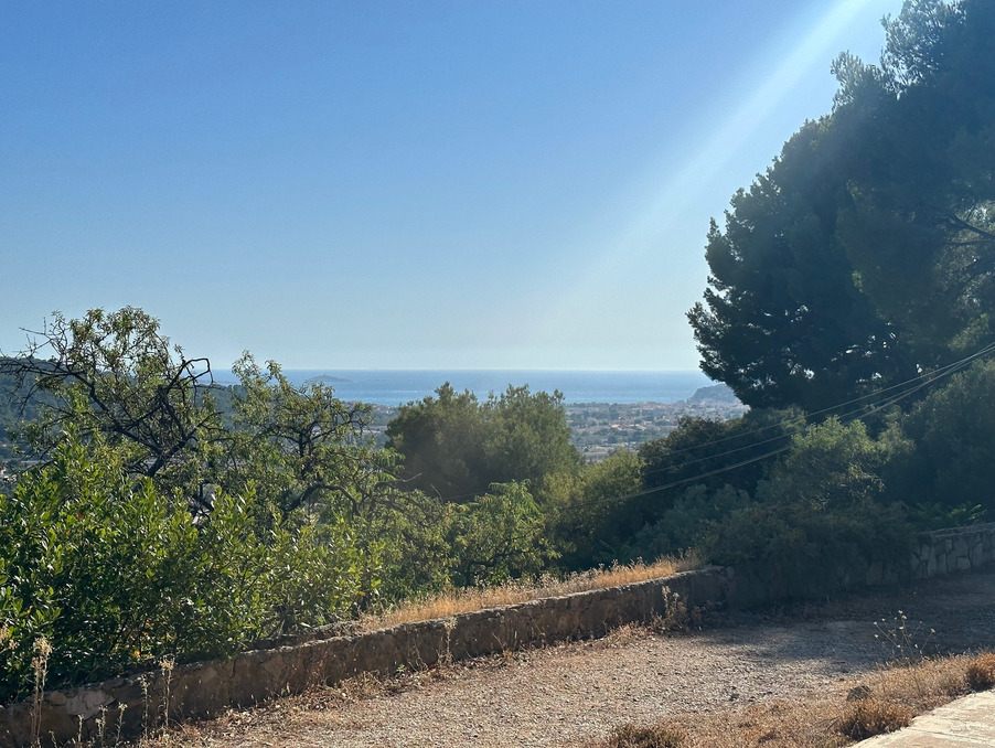 Vente Terrain Ollioules  599 000 €