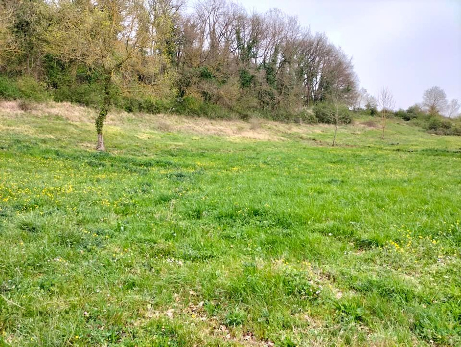 Vente Terrain Saint-Clar 47 000 €