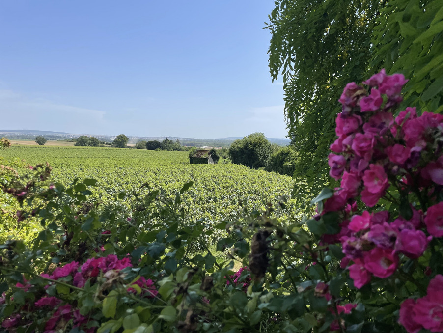 Vente Maison Saint-Thierry  690 000 €