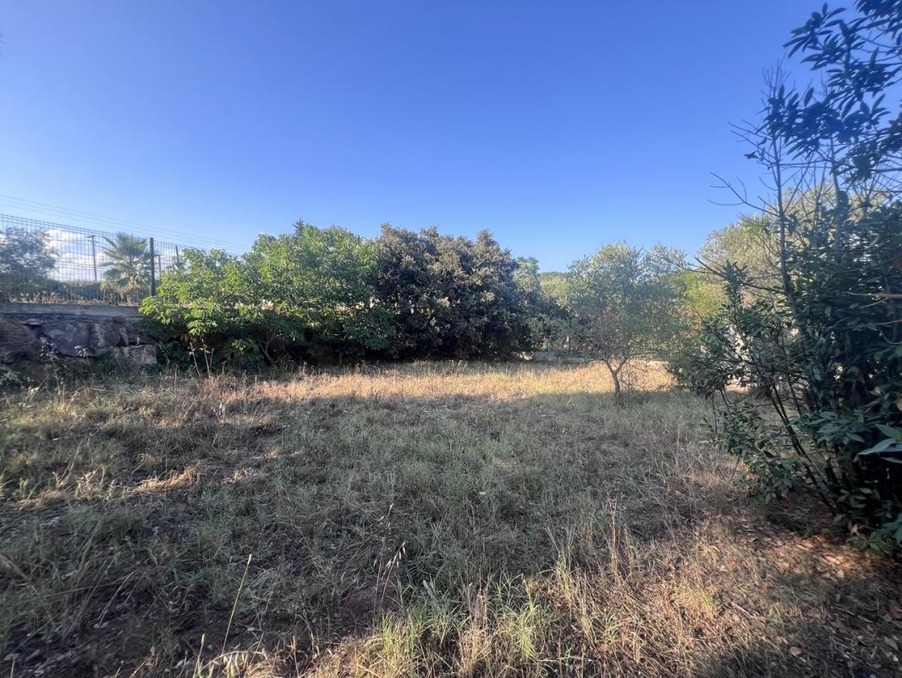 Vente Terrain Puget-sur-Argens  199 000 €