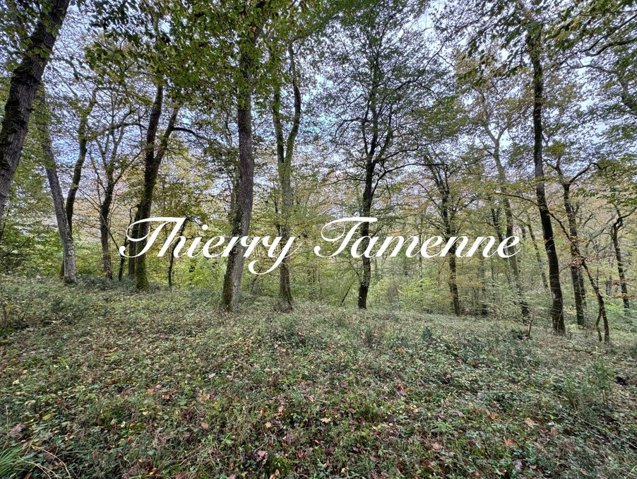 Vente Terrain BARBASTE 66 000 €