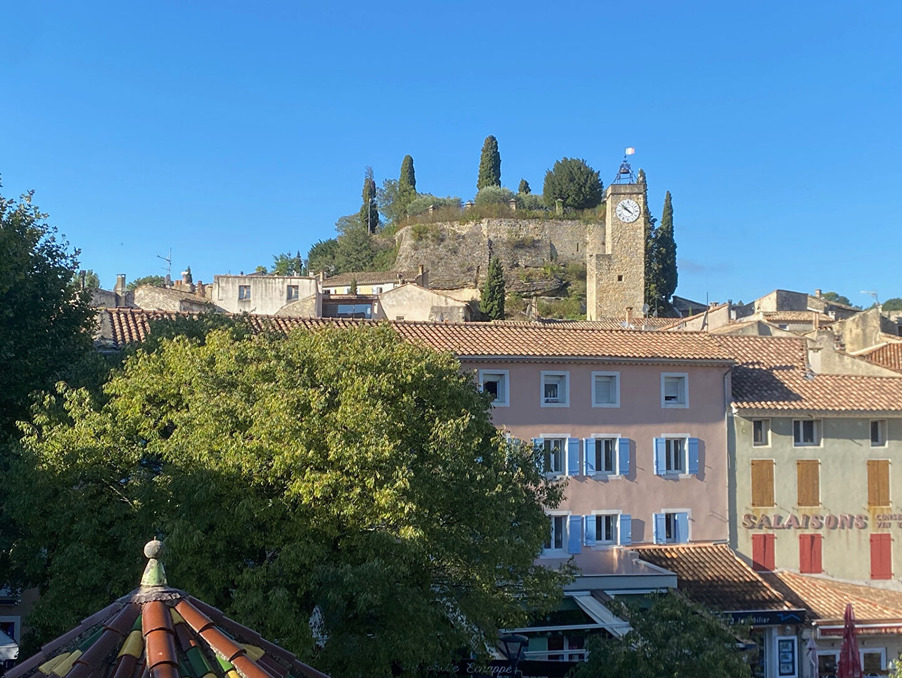 Location Appartement Malaucène  590 €