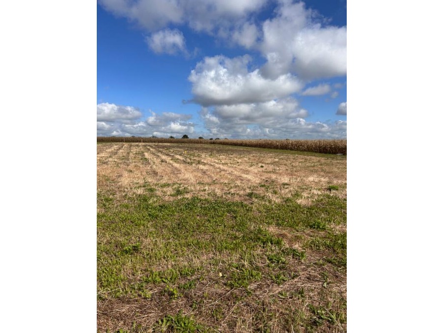 Vente Terrain Saint-Aubin-la-Plaine 17 490 €