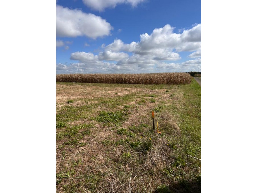 Vente Terrain Saint-Aubin-la-Plaine 23 990 €