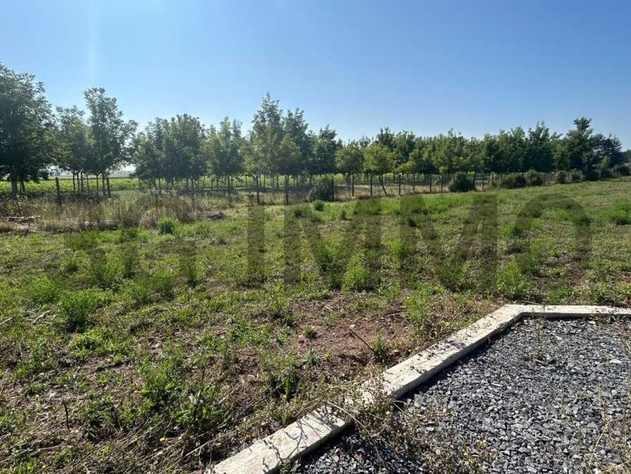 Vente Terrain CHAMBARON SUR MORGE 69 037 €