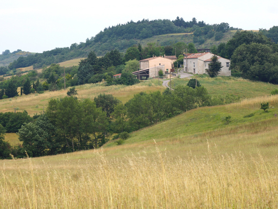 Vente Maison Mirepoix  920 000 €
