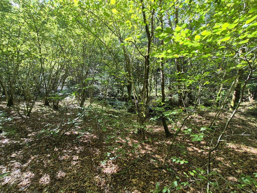 Vente Terrain Clergoux 18 990 €