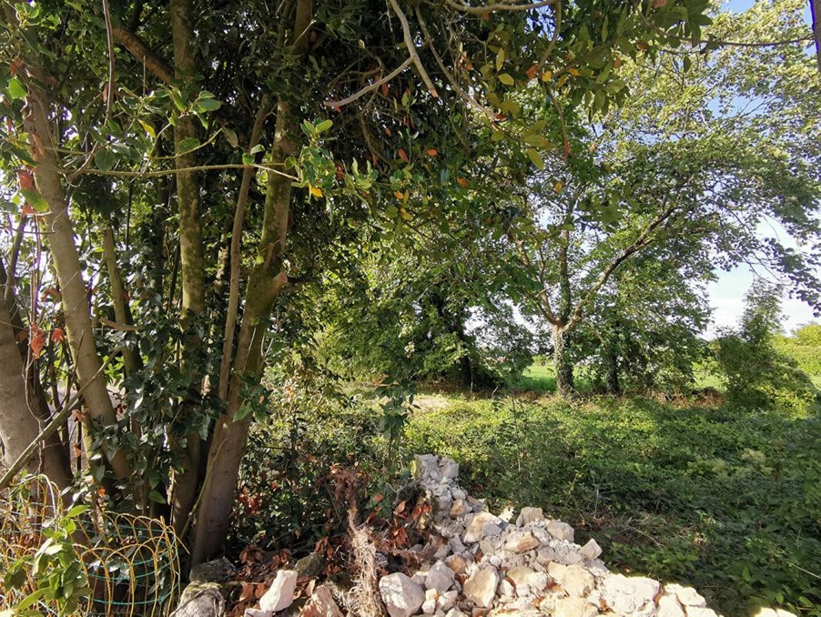 Vente Terrain Aigrefeuille-d'Aunis  127 290 €