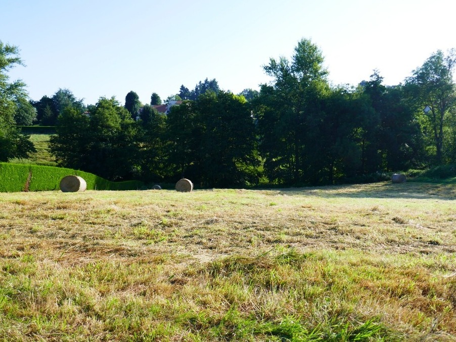 Vente Terrain Monistrol sur Loire  164 000 €