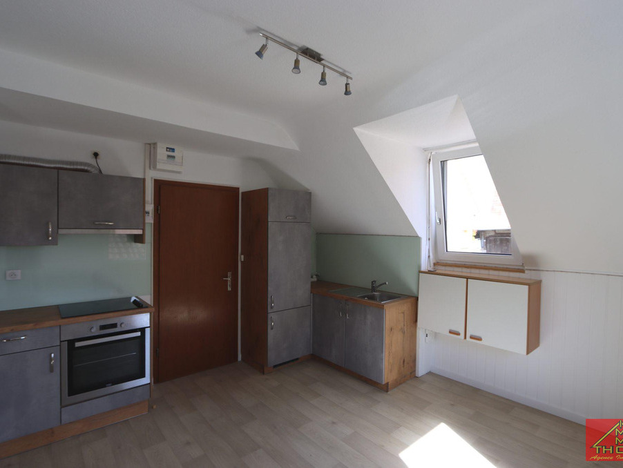 Location Appartement Buschwiller  490 €